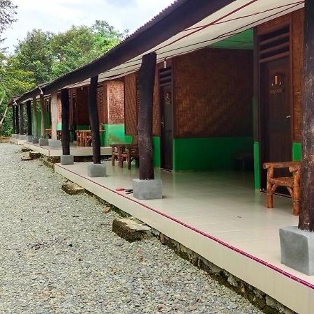Green Lodge Tangkahan Exterior foto