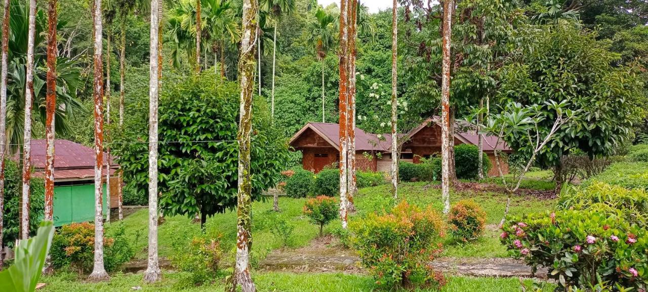 Green Lodge Tangkahan Exterior foto