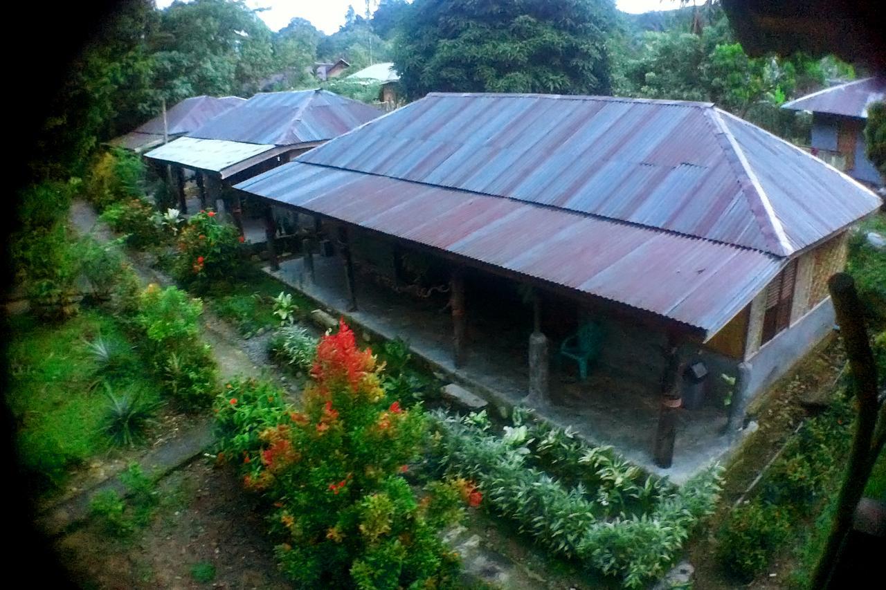 Green Lodge Tangkahan Exterior foto
