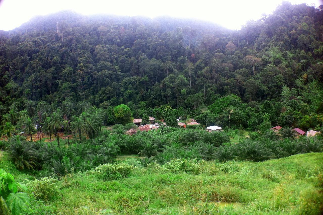 Green Lodge Tangkahan Exterior foto