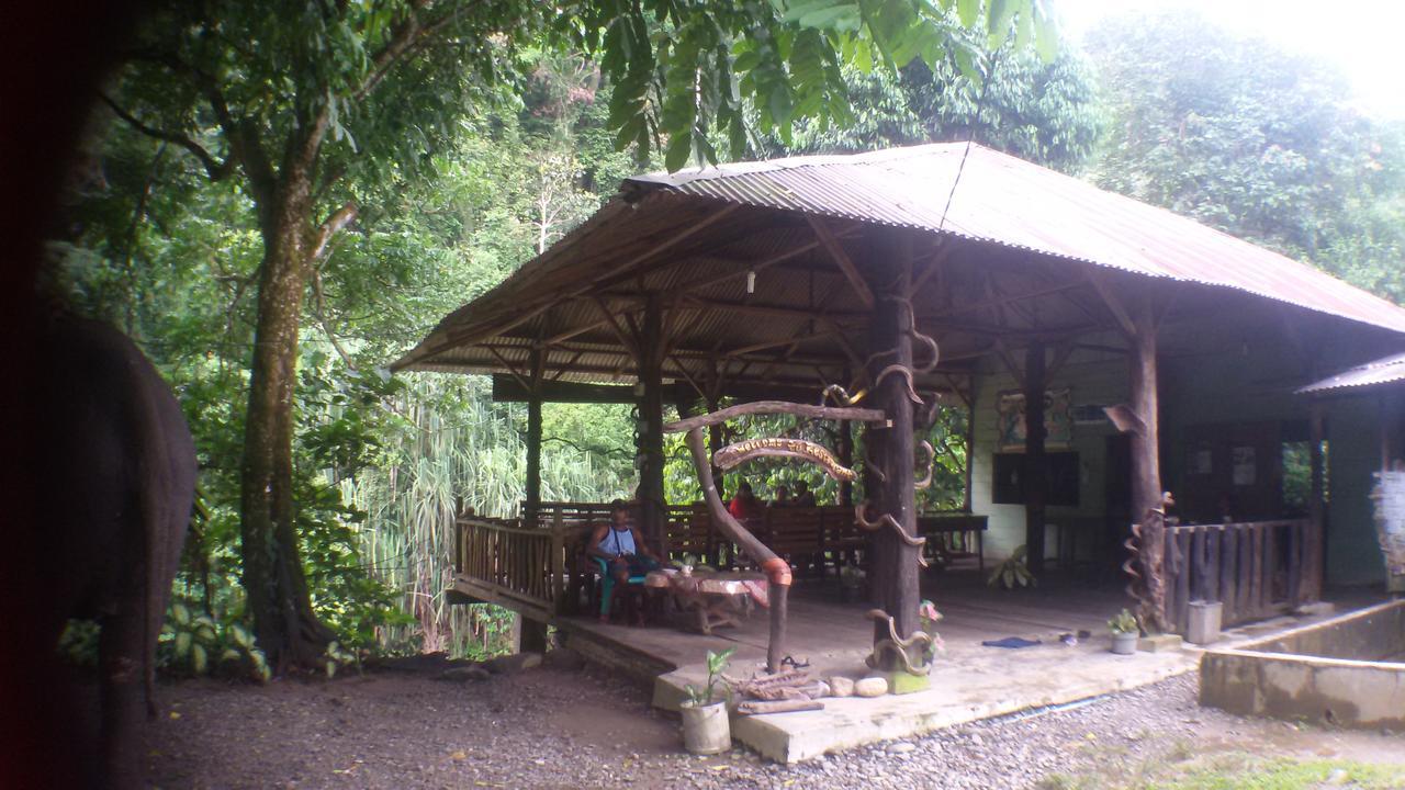 Green Lodge Tangkahan Exterior foto